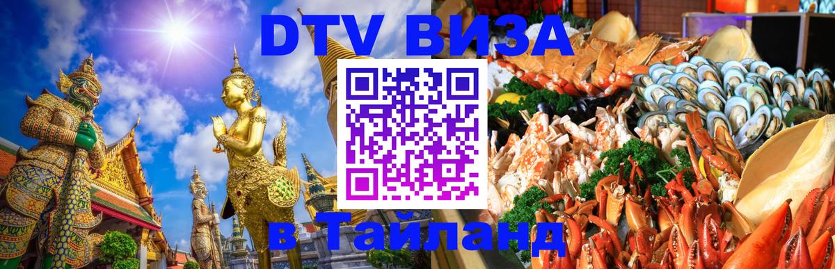 Оформление DTV визы под ключ: стоимость и тарифы, только загранпаспорт - Чебоксары  05.10.2025 
